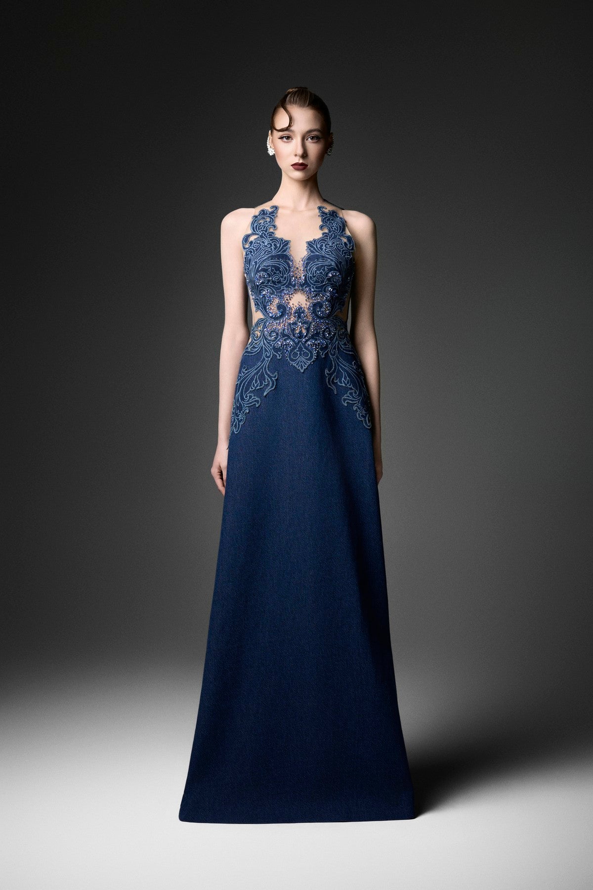 Rococo Mesh Embellished A-Line Dress