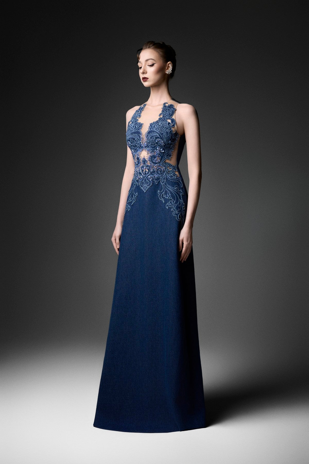 Rococo Mesh Embellished A-Line Dress