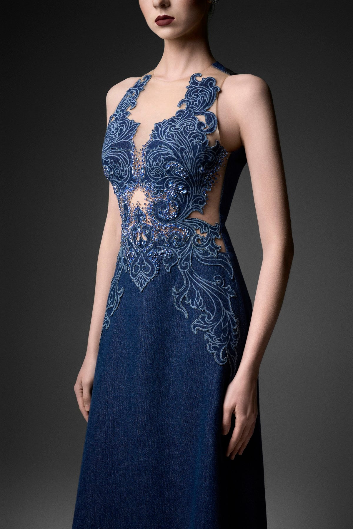 Rococo Mesh Embellished A-Line Dress