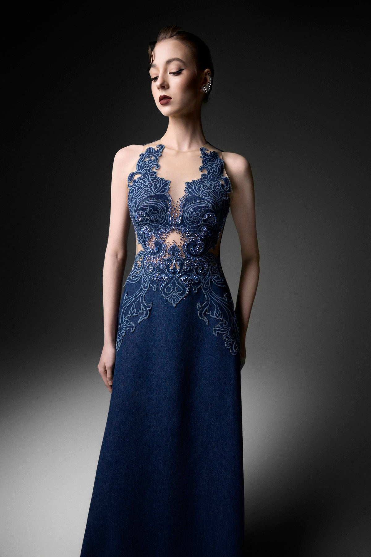 Rococo Mesh Embellished A-Line Dress