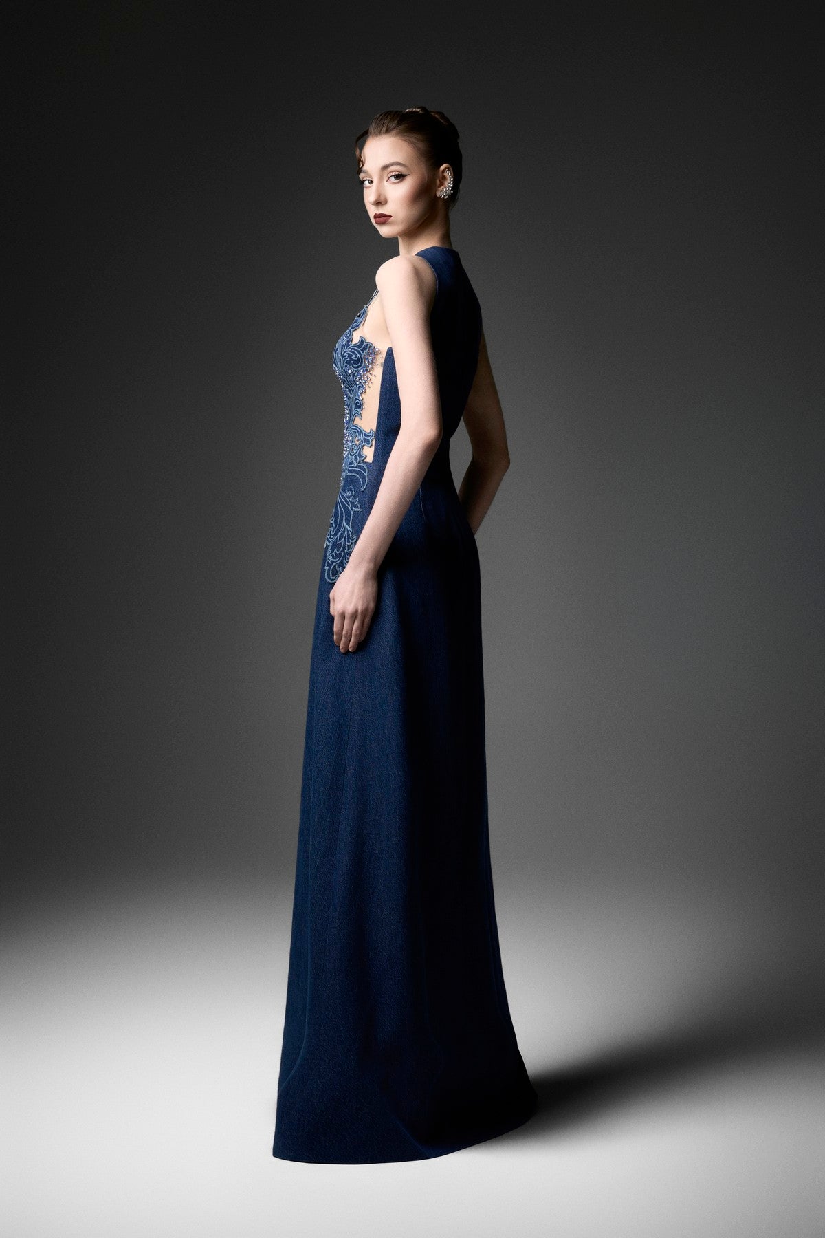 Rococo Mesh Embellished A-Line Dress