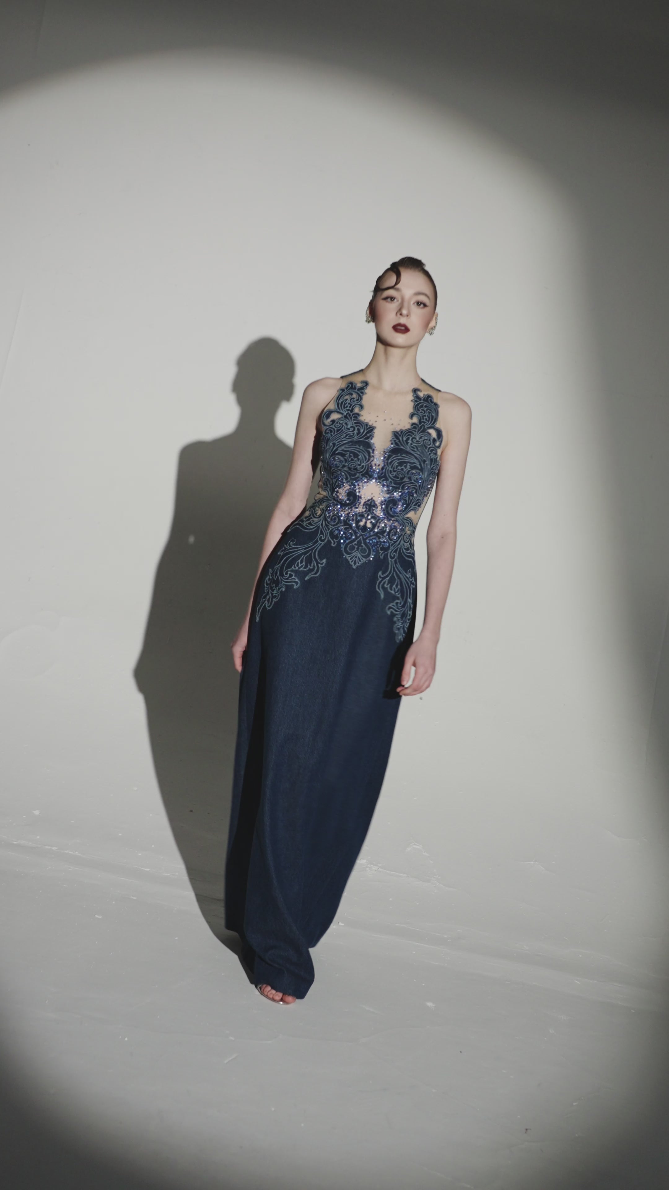 Rococo Mesh Embellished A-Line Dress